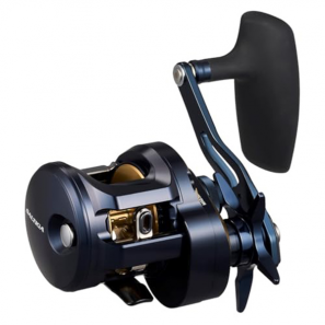 DAIWA 25 SALTIGA 300