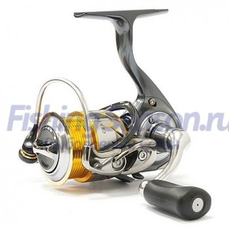 Без названия.jpg